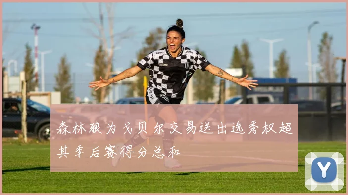 森林狼为戈贝尔交易送出选秀权超其季后赛得分总和