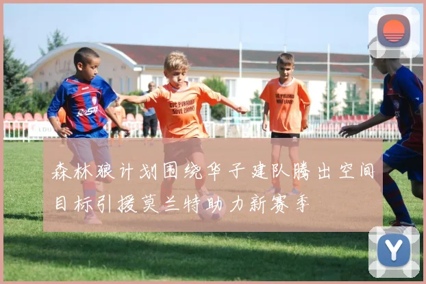 森林狼计划围绕华子建队腾出空间目标引援莫兰特助力新赛季