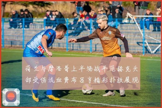 荷兰与摩洛哥上半场战平范赫克头部受伤流血费布吕亨精彩扑救展现实力