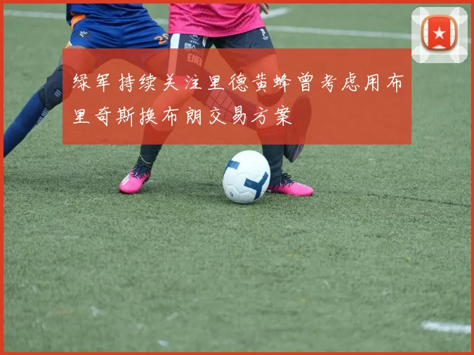 绿军持续关注里德黄蜂曾考虑用布里奇斯换布朗交易方案